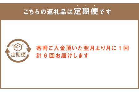 【6回定期便】”松竹梅の梅セット”届いたら、いつもの花瓶に入れるだけ！簡単管理の おしゃれ ブーケ ♪初回 花瓶 付き、毎回延命剤付き！！ 花 生花 花束