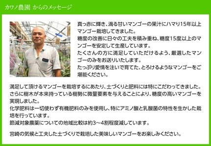 【令和9年発送】【宮崎県産完熟マンゴー】果実の宝石　3L×2玉 【 果物 フルーツ マンゴー 宮崎県産 みやざきマンゴー 先行予約 数量限定 期間限定 】 