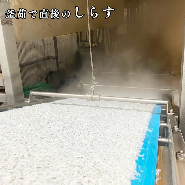釜揚げ しらす 1kg _AG021