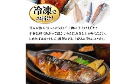 【定期便】いずま海産のごちそうサバ3品セット干物8枚頒布会【偶数月6回お届け】干物