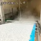 しらす 佃煮 1kg 甘口 大洗 天然 シラス ご飯のお供 おかず お弁当 大洗 茨城県  離乳食_AG024