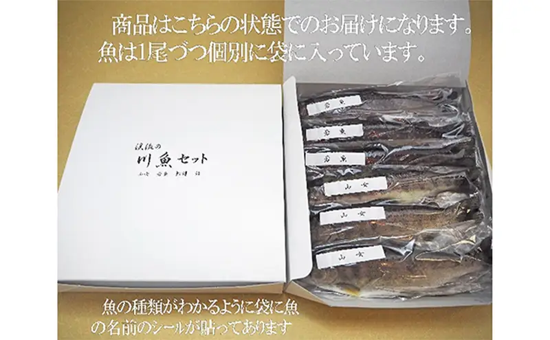 清流の川魚 セット 12尾入【ヤマメ・イワナ・ニジマス・アユ】| 川魚