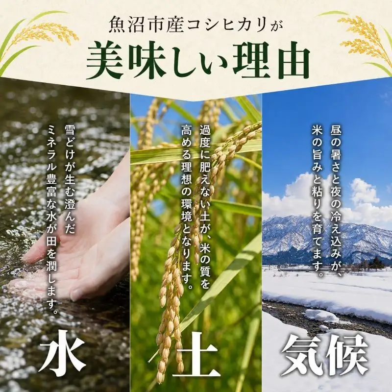 雪室貯蔵 魚沼産 コシヒカリ 無洗米 2.5kg 6ヶ月 連続お届け （ 米 定期便 こしひかり 定期 新潟 魚沼 魚沼産コシヒカリ 魚沼産こしひかり お楽しみ 6回 ） 新潟県 