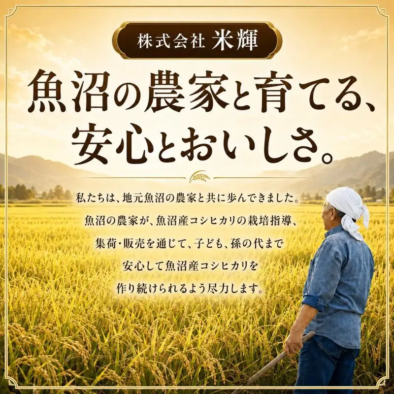 農産物検査員お奨め 魚沼産こしひかり（精米）5kg 3ヶ月連続お届け お米 コシヒカリ 