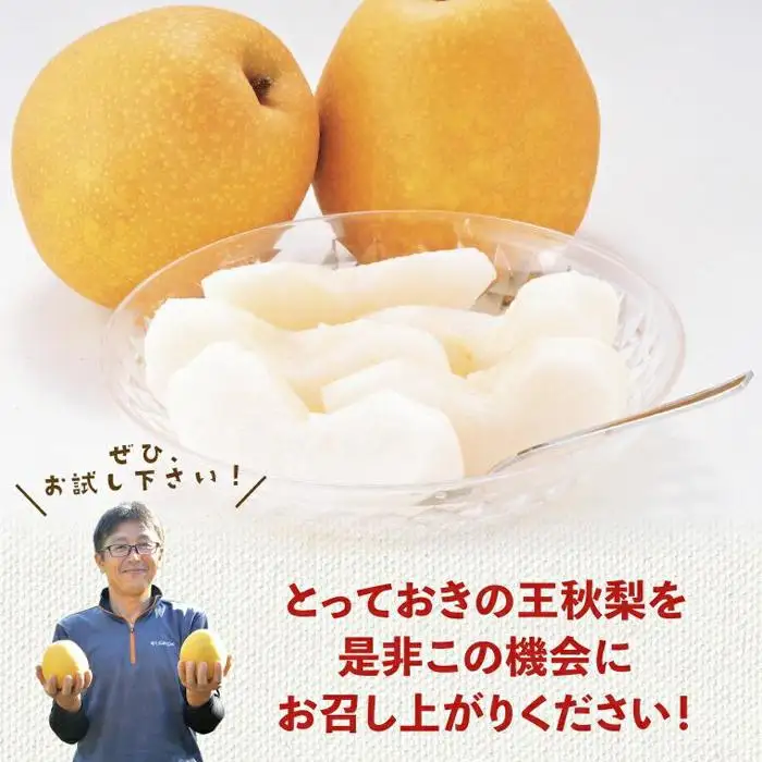 訳あり 王秋梨 3kg【やぶやフルーツガーデン】