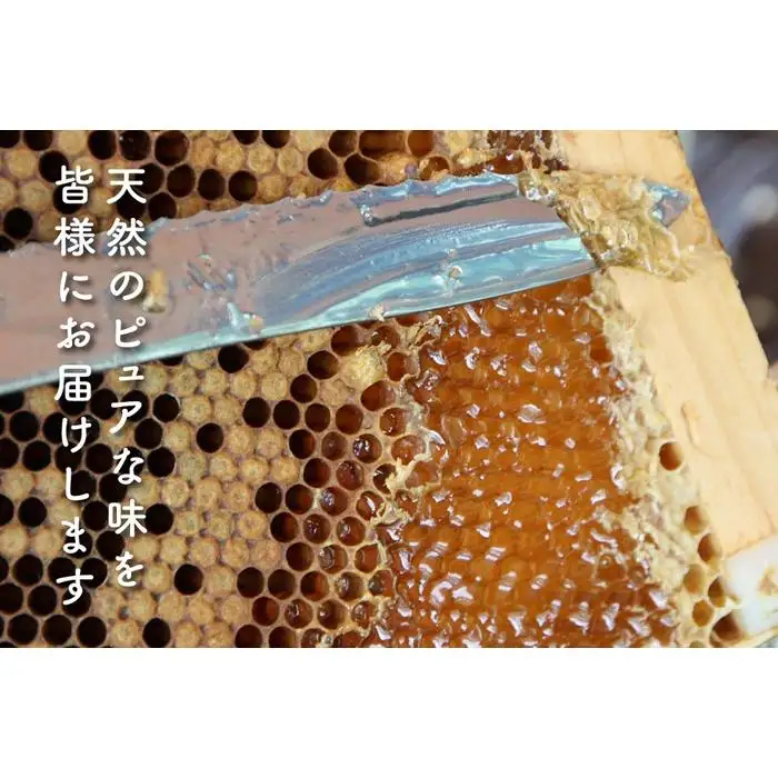 さいき養蜂園　非加熱蜂蜜　アカシア３００ｇ×２本｜蜂蜜