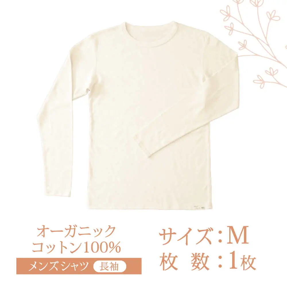 オーガニックコットンTシャツ長袖メンズ(Mサイズ)・日本アトピー協会推薦品 / Tシャツ 綿 メンズ コットン オーガニックコットン / 諫早市 /  株式会社美泉 [AHAP003]