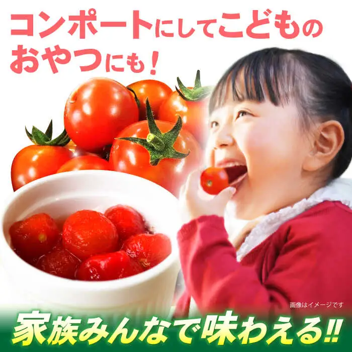 【先行予約※2026年11月より発送】愛果菜ミニトマト9P×3セット / ミニトマト プチトマト トマト とまと / 諫早市 / 愛菜ファーム株式会社 [AHAK003]