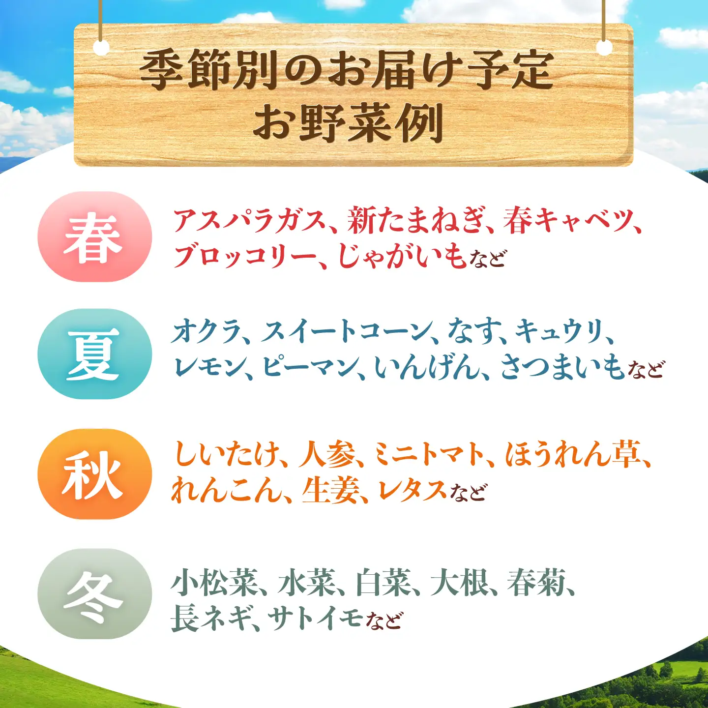 野菜 3回定期便 諫早産野菜の詰め合わせ8・9品目程度 [AHDI001]