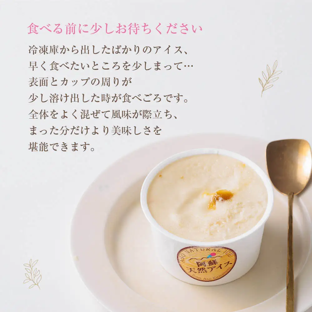 阿蘇天然アイス　～極みシリーズ～　6個セット