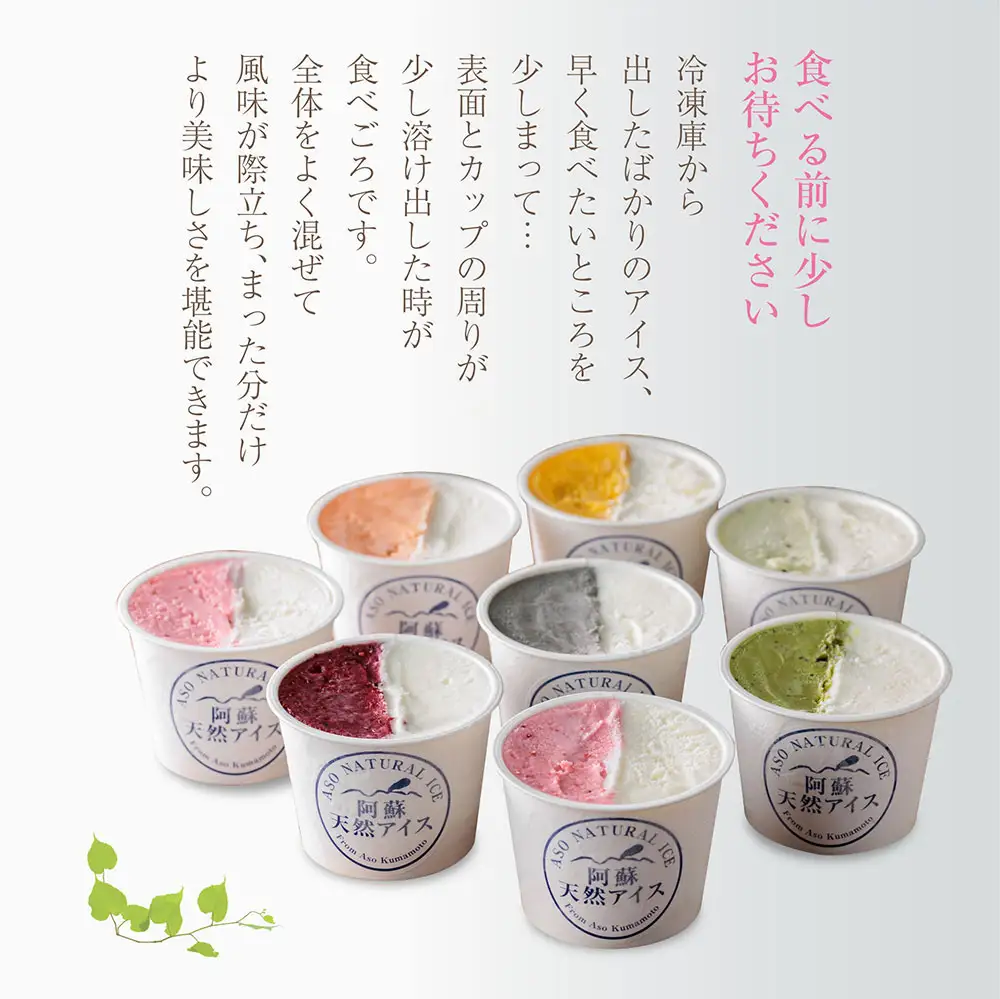 阿蘇天然アイス　ハーフ&ハーフ　8個セット
