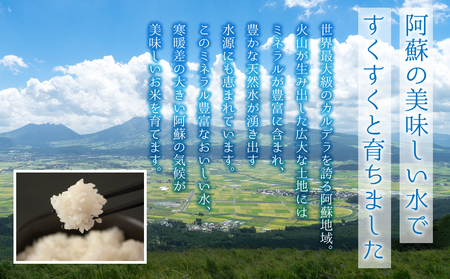 極美純米ぴかまる2kg スパルタ農法こだわりのお米