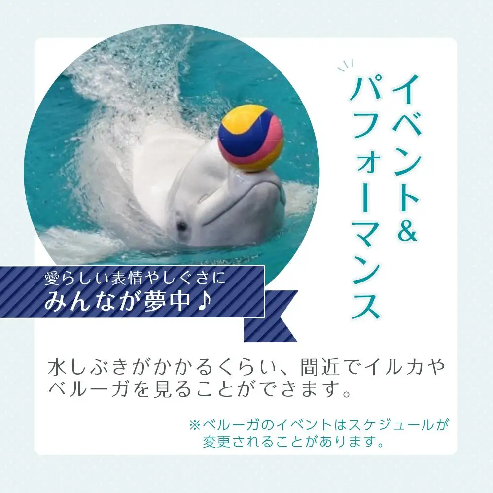 名古屋港水族館入館券（大人入館券２枚）
