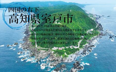 【約２～３人前】室戸のはちきん地鶏鍋セット 鍋セット2-3人 年末 地鶏 10000円 国産