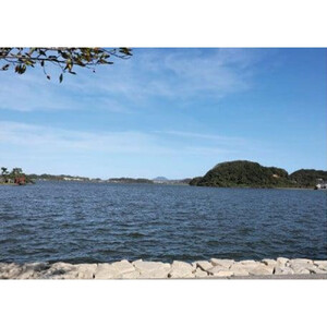 湖山池の大しじみ