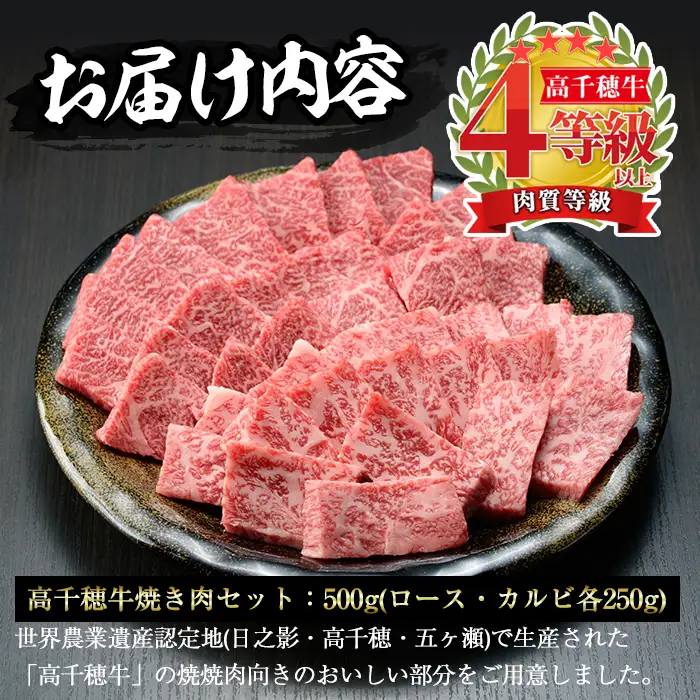 高千穂牛 焼き肉セット(ロース・カルビ各250g)【MT010】【JAみやざき 高千穂牛ミートセンター】