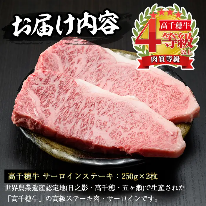 高千穂牛 サーロインステーキ(250g×2枚)【MT013】【JAみやざき 高千穂牛ミートセンター】