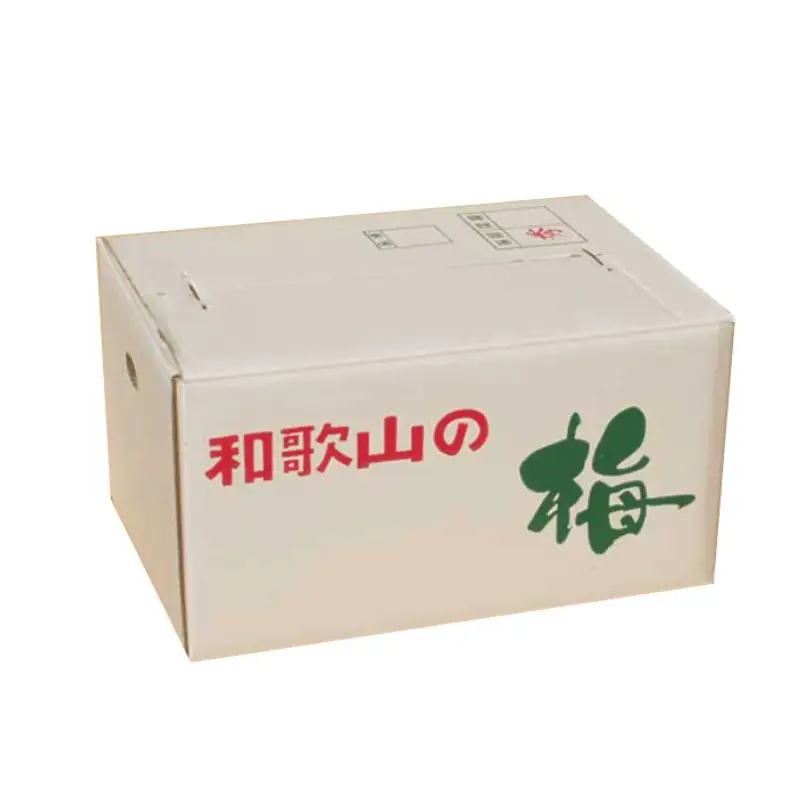 【梅干・梅酒用】（LまたはM－2Kg）熟南高梅＜2027年6月上旬～7月上旬ごろに順次発送予定＞【art012B】