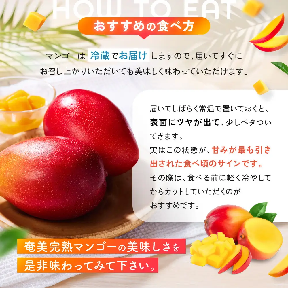 【2026年 先行予約】奄美完熟マンゴー 化粧箱 約2kg(4～6玉入り) 農家直送！