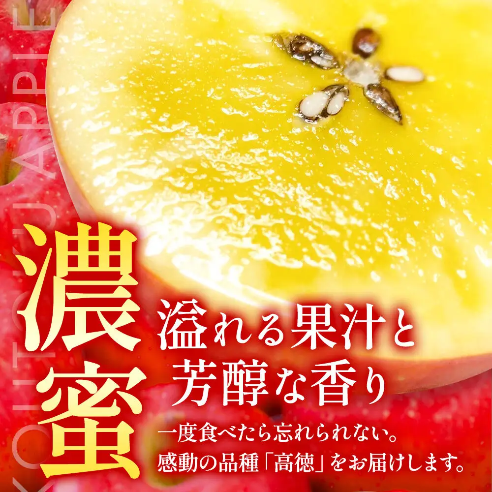 【26年12月発送】りんご 高徳（こうとく）【特選】約2kg 先行受付 青森県 弘前市 果物 フルーツ 林檎 リンゴ くだもの ギフト 贈り物