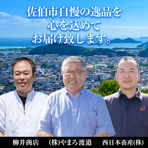 ＜先行予約受付中！2027年1月中旬より配送開始予定＞＜定期便・全4回＞味力全開！佐伯の極み 冬春定期便(月1回お届け) 鰤 ブリ とらふぐ 刺身 ふぐ 鍋 ステーキ ヒレ サーロイン しゃぶしゃぶ 焼肉 セット 【BR119】【佐伯市ふるさと納税事業者協議会】