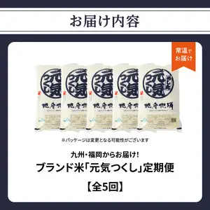 九州・福岡からお届け！ブランド米「元気つくし」定期便【全5回】 お米 米 コメ 白米 特A 直送 お弁当 おにぎり 炊きたて ツヤ 粘り もちもち 弾力 卵かけご飯 福岡県 八女市 072-T070