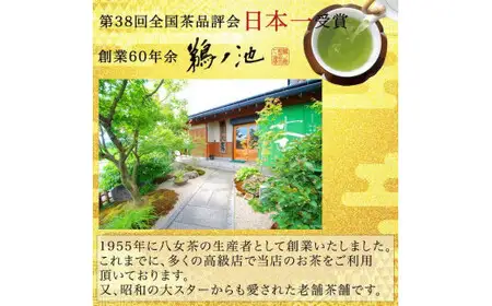 八女茶 深蒸し茶の粉で作った水出し緑茶30個入り　008-040