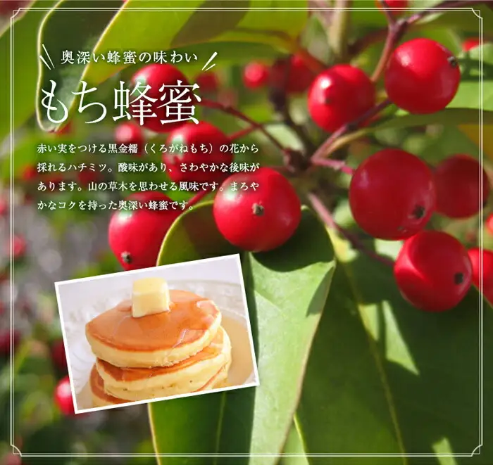 かの蜂 国産蜂蜜 4種セット とんがりプラ容器 2kg（500g×4） はちみつ 福岡県 八女市 024-064
