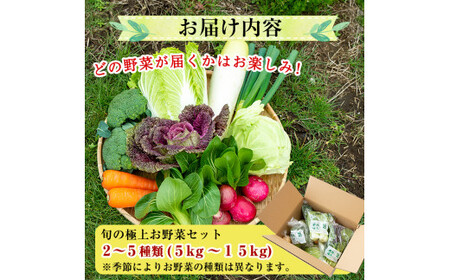 A-091 「極野菜」旬の極上お野菜セット【百姓道有元農場】霧島市 国産 詰め合わせ 食材 お楽しみ