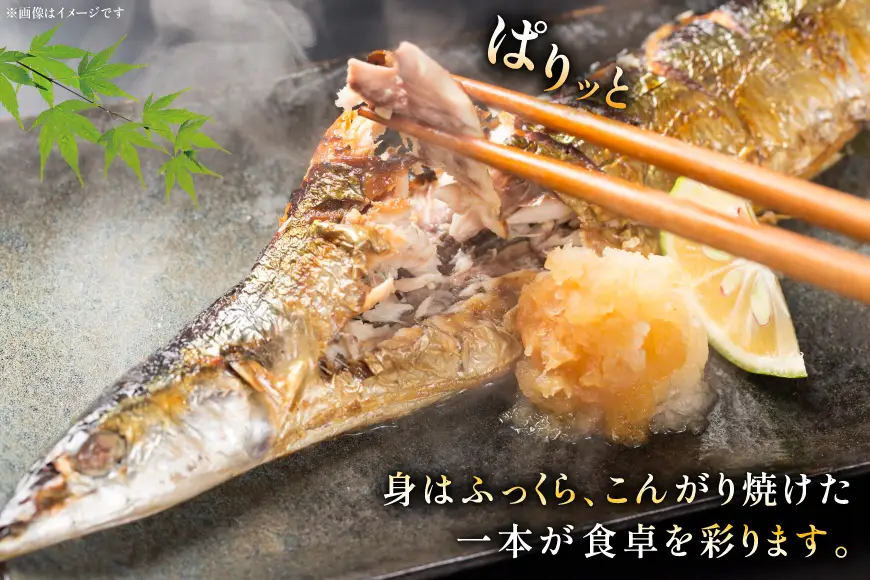 【期間限定発送】 生 さんま 10尾 