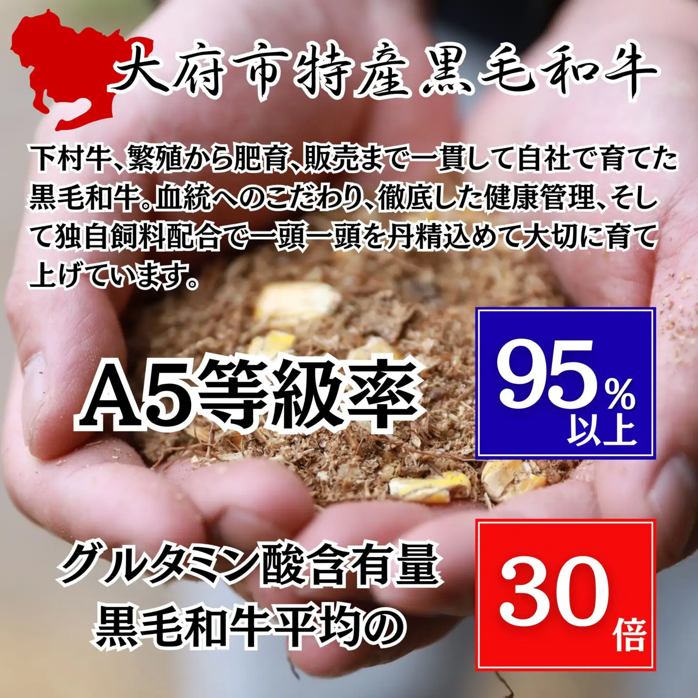 【定番】大府特産A5黒毛和牛下村牛極上シャトーブリアン5枚入り約600g シャトーブリアン