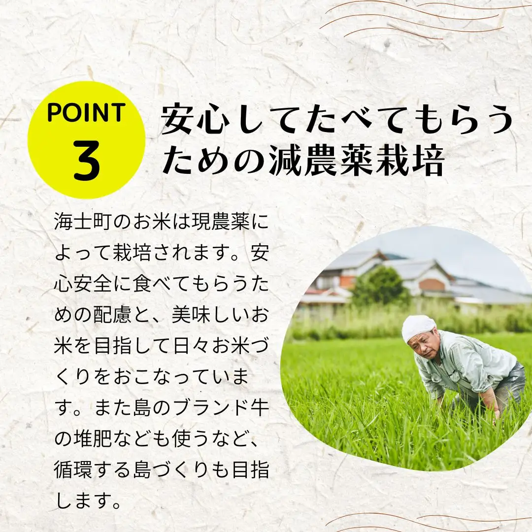 コシヒカリ 10kg ブランド 本氣米 精米 白米