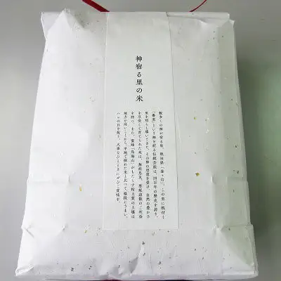 あきたこまち 秋田県産 鳥海山の恵み 玄米 農家直送 あきたこまち【計45kg 5kg×9回】【定期便】
