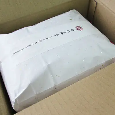 あきたこまち 秋田県産 鳥海山の恵み 玄米 農家直送 あきたこまち【10kg(5kg×2)】【先行予約】