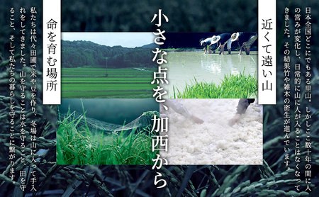 お中元 【のし付】 SEN 生もと／純米大吟醸　飲み比べセット 御中元 ten 純米酒 無濾過生原酒 生酒 清酒 山田錦 ギフト プレゼント お祝い 贈答品 贈答 お酒 酒 アルコール 兵庫県 兵庫
