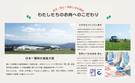 【プレミアム】 最高級のとろける旨さ！A5等級 鹿児島県産黒毛和牛 プレミアム牛刺し 150g 牛肉 刺身 グルメ お取り寄せ 冷凍 カミチク 南さつま市