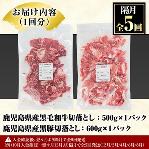 ＜定期便・全5回(隔月)＞鹿児島県産黒毛和牛・黒豚切り落とし定期便(総量5.5kg)国産 九州産 鹿児島産 牛肉 豚肉 国産牛 切り落とし 切落し 赤身 小分け 頒布会【スターゼン】akn042-22