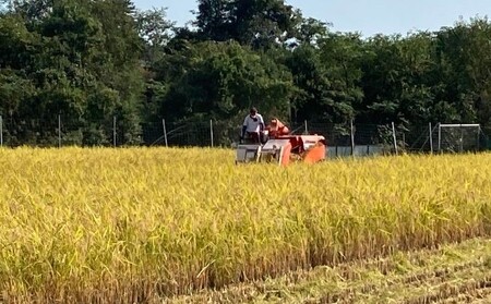 お米 自然米 4.8kg 無農薬 有機JAS お米