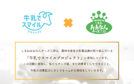 【数量限定】訳あり！ゴーダチーズセット