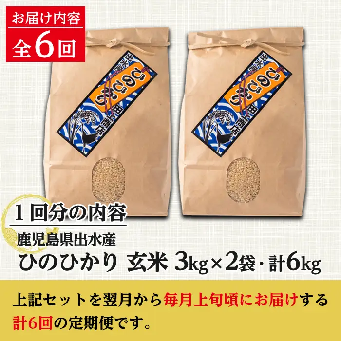 【6回定期便(連続)】鹿児島県 出水市産 ひのひかり 玄米 定期便 (3kg×2袋・計6kg)×全6回 【田上商店】 i542
