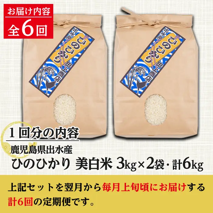 【6回定期便(連続)】鹿児島県 出水市産 ひのひかり 美白米 定期便 (3kg×2袋・計6kg)×全6回 【田上商店】 i543