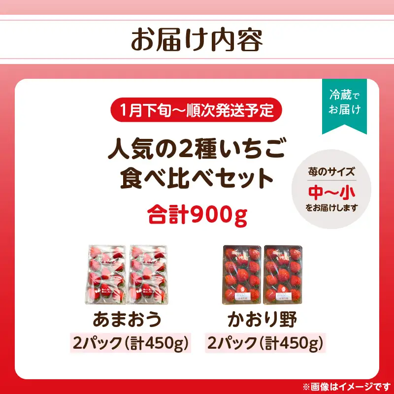 人気の2種いちご食べ比べセット「あまおう450g」＋「かおり野450g」合計900g｜2027年1月下旬～順次発送＜ひらい観光農園＞ いちご 苺 イチゴ フルーツ 果物 くだもの 065-001