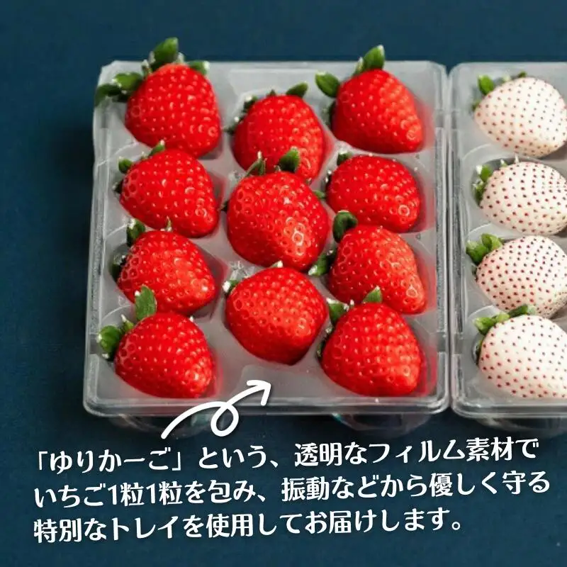 いちご 佐賀県産いちご さがほのか＆パールホワイト 紅白セット【1～4月発送】：B140-008