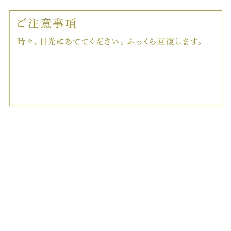 座布団 2枚組 (グリ－ン系)55cm×59cm