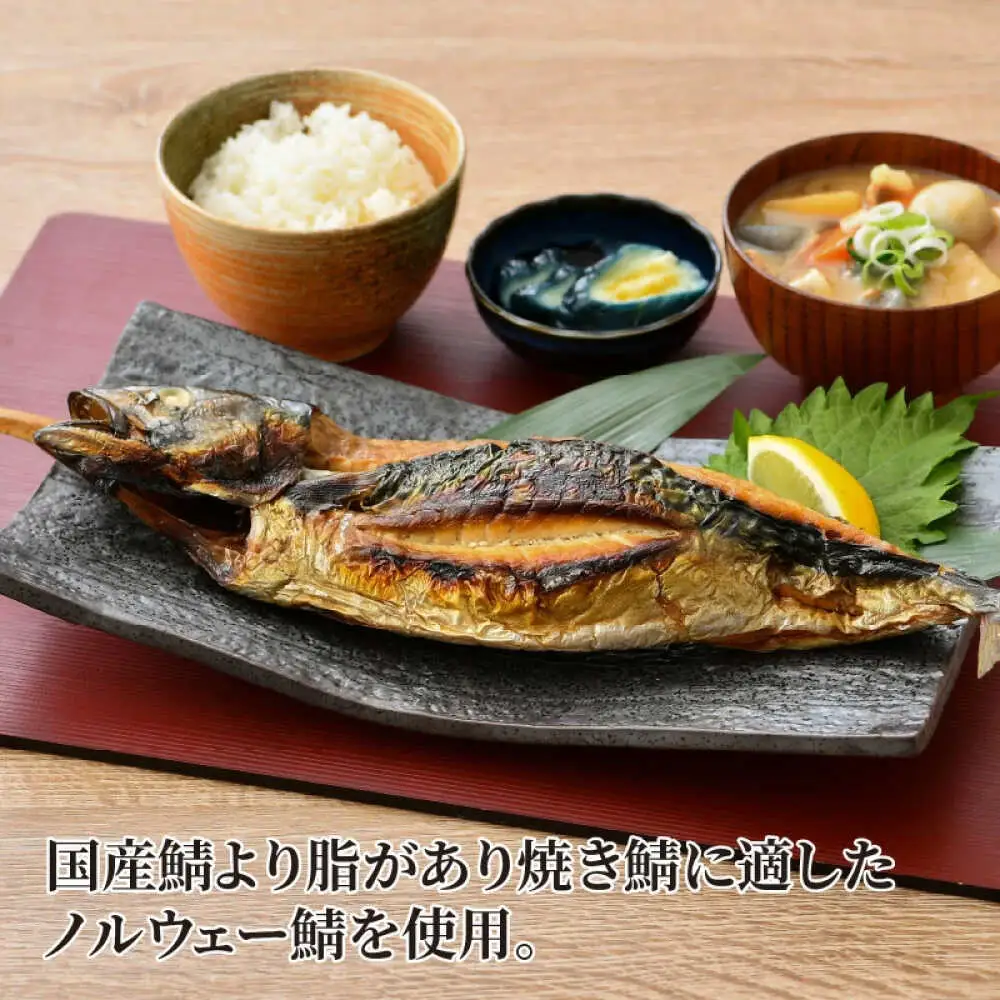 若狭小浜 桝屋の浜焼き鯖2本入り [BFAO008] 【配送不可地域：離島】 