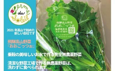 ＜牧成舎定期便 3カ月＞飛騨の新鮮モッツァレラ＆フレッシュ野菜 セット 3回お届け モッツァレラチーズ DF100