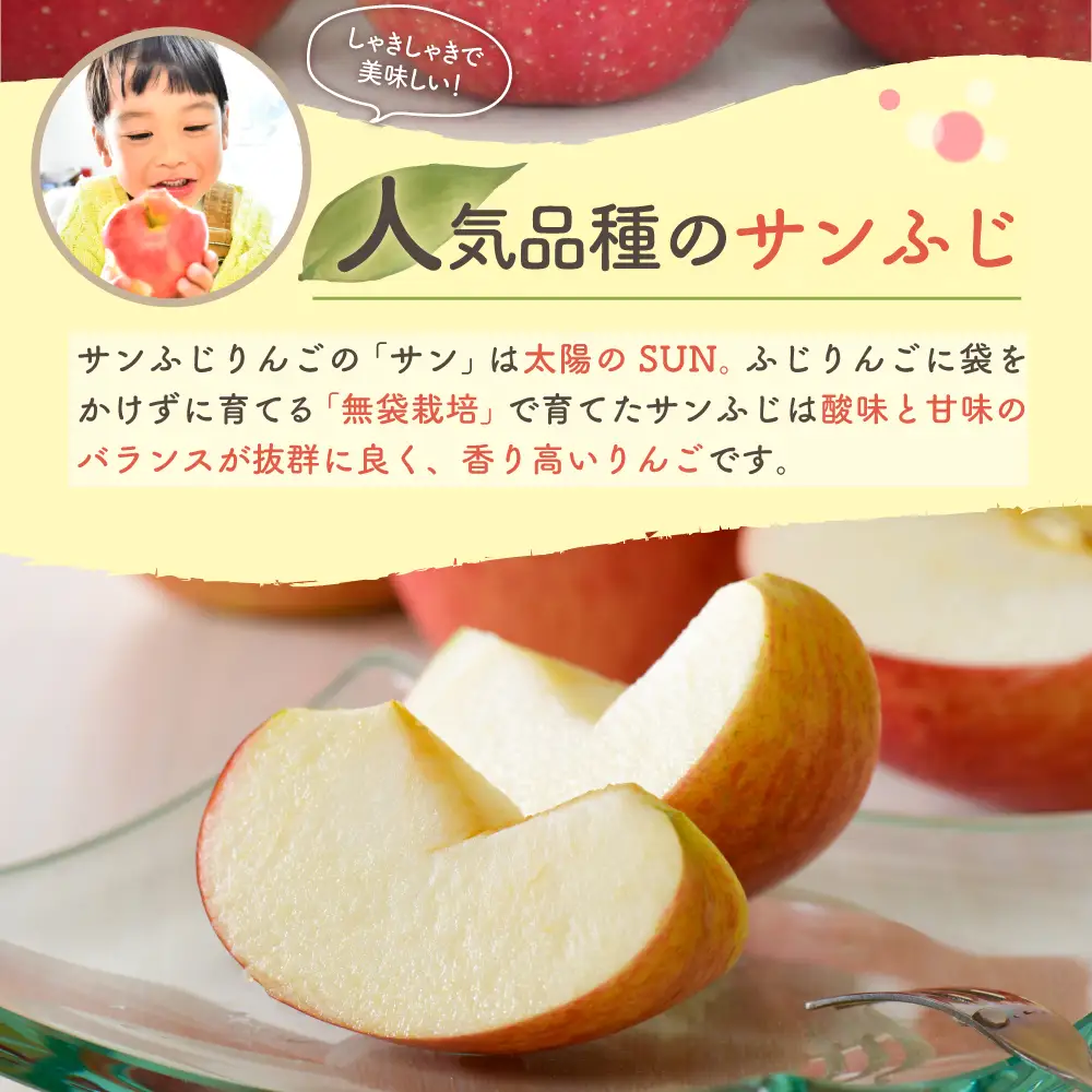 【2027年2月上旬発送】りんご 葉取らずサンふじ 10kg 程度 青森りんご