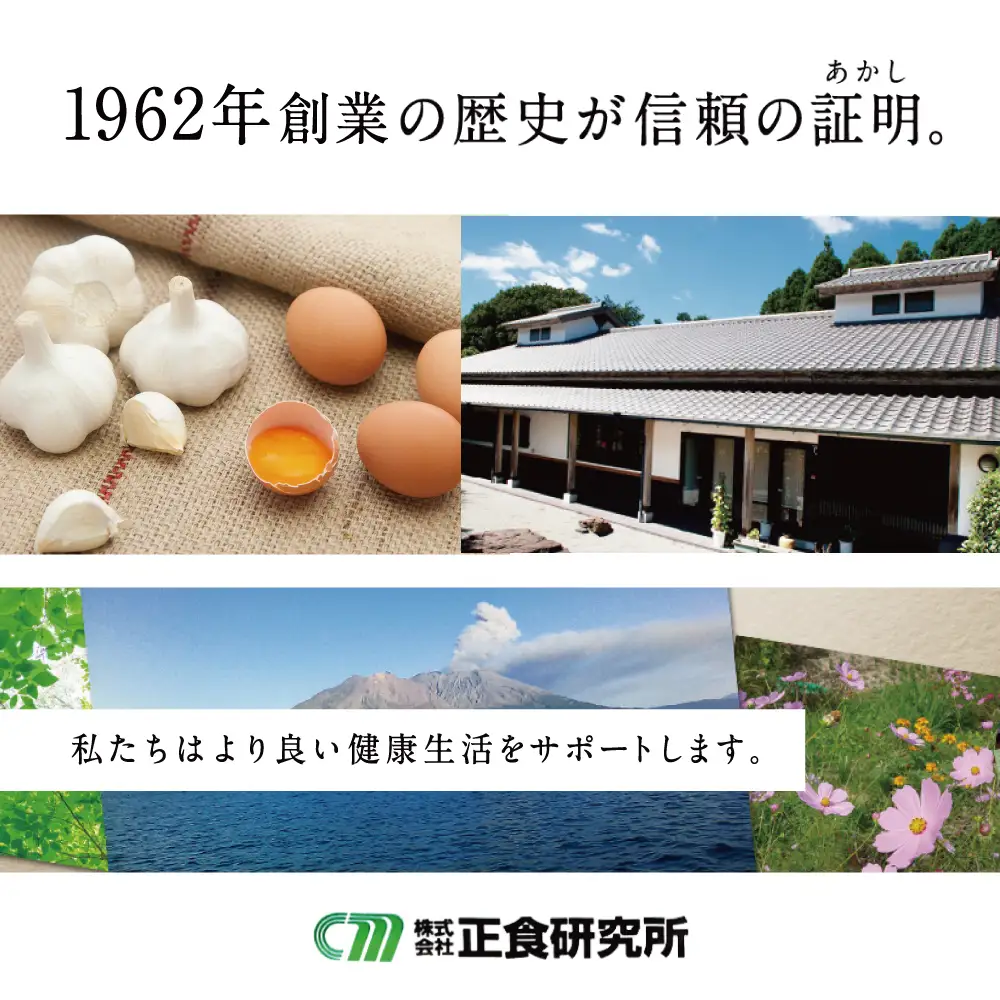 【健康補助食品】にんにく卵黄ソフト300（62粒入り×3袋） 正食研究所 鹿児島