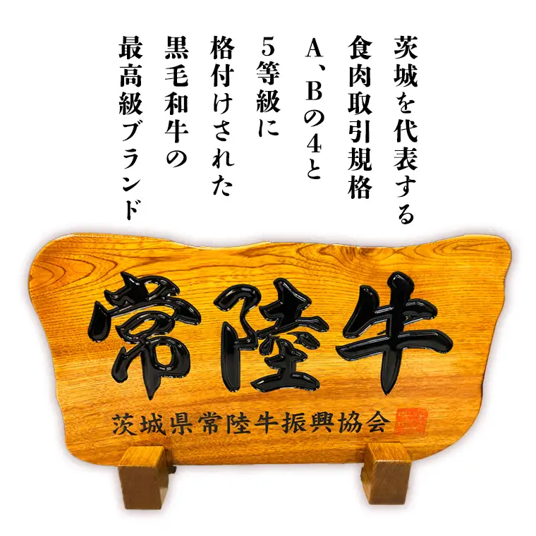 【茨城県共通返礼品】常陸牛 ローストビーフ 約300g 和風ソース付き [AU016ya]