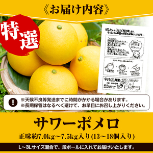 ＜先行予約受付中！2027年2月下旬以降順次発送予定＞数量限定！特選サワーポメロ(正味約7.0kg～7.5kg・ L～3Lサイズ13～18個) 国産 フルーツ 果物 柑橘類 サワーポメロ 甘味 酸味 デザート おやつ【なかむら果樹園】akn014-02